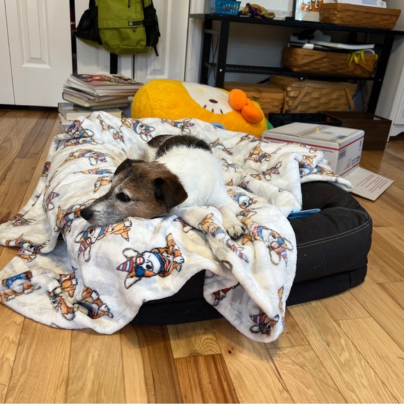 Meet your Posher, Carrie - Picture 2 of 3